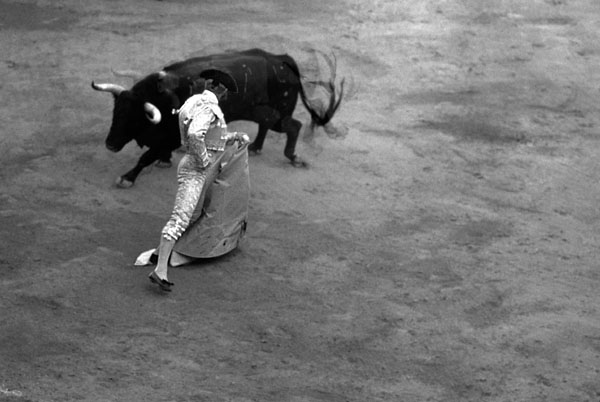 bullfight3